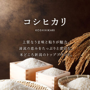 ≪ 定期便 ≫ 令和5年産 新潟県産 コシヒカリ 7kg× 12ヶ月 連続(計 84kg) 精米 し立てをお届け 新潟 のど真ん中 見附市 こしひかり 米 お米 白米 国産 ごはん ご飯