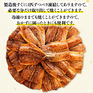【 干物 】いわし/あじ みりん干し セット 各500g 計1kg