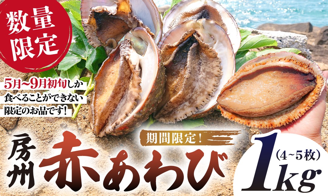 
            【先行受付 2026年5月～9月初旬発送予定】【数量限定】房州赤あわび 1kg（4～5枚） mi0020-0006 【 特産品 赤あわび アワビ 海鮮 貝 海の幸 限定 】
          