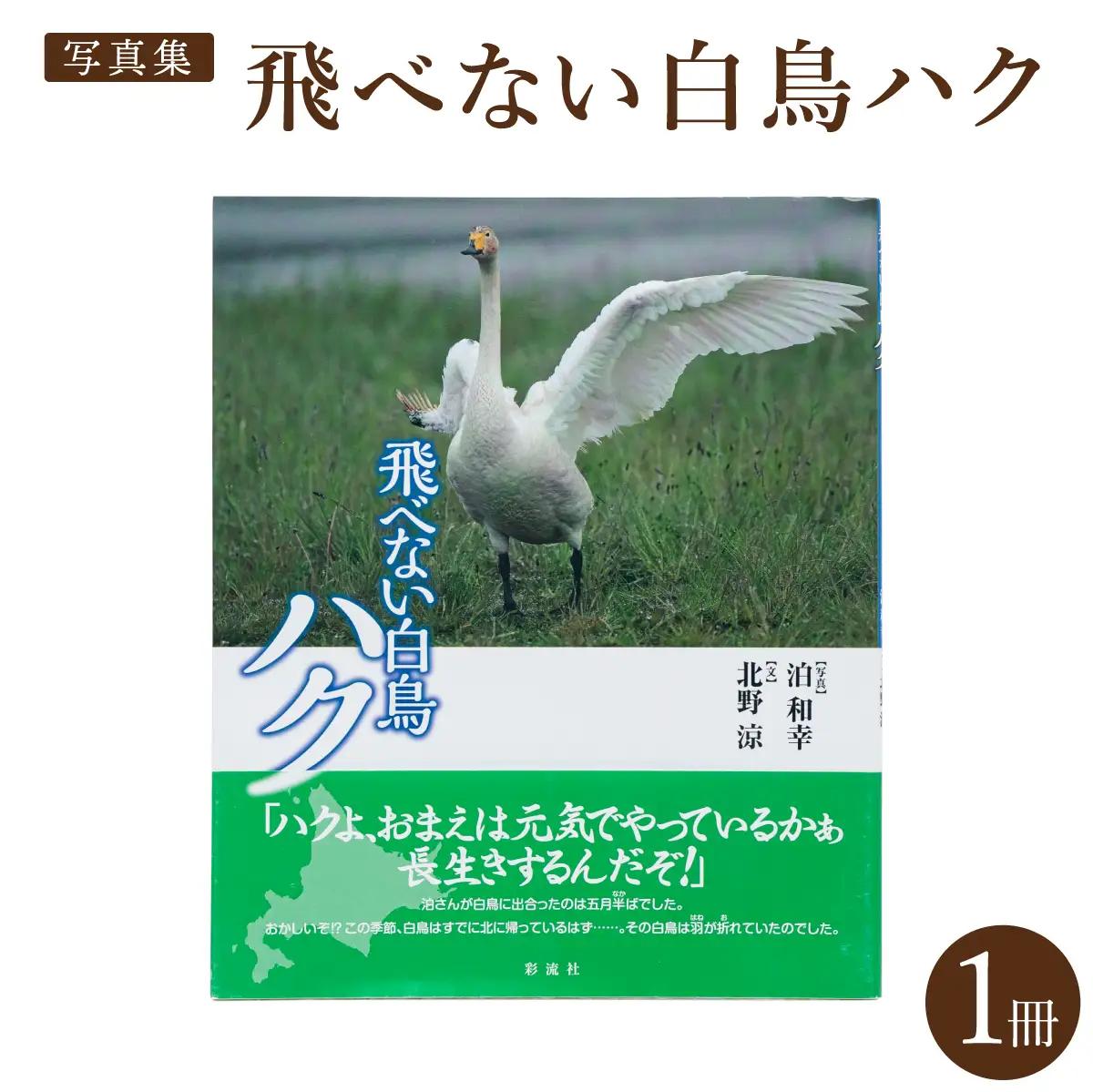 【写真集】飛べない白鳥ハク　彩流社　【野生塾　泊和幸】