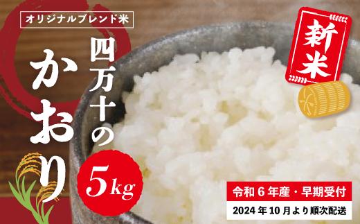 【令和6年産新米・早期受付】香り米ヒエリ入りオリジナルブレンド米「四万十のかおり」5kg【2024年10月より順次配送】R6-152