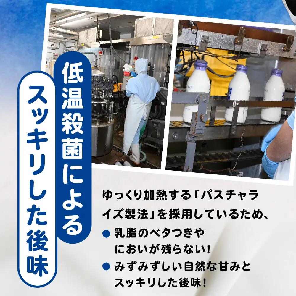 手作り ジェラート 12個セット 命の雫 木村ミルク アイス ジェラート