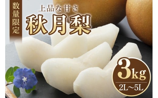 【数量限定・先行予約】 梨 秋月 3kg 2L～5L 6～9玉 なし ナシ あきづき アキヅキ 果物 フルーツ 国産 【9月10日～10月末発送予定】 70-C