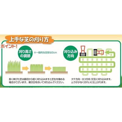 ふるさと納税 小野市 大進 手動式 芝刈機20cm 手動 シバ刈り 芝刈り機 4939736701676 |  | 02