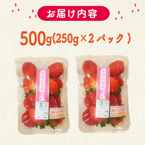 植物系有機肥料のいちご 瑠璃の宝箱 計500g(250g×2P) 《2026年2月～5月発送》 先行受付 いちご いちご