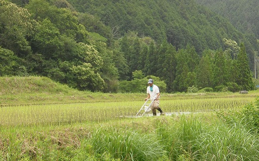 農業をはじめて（1996年）から、農薬・除草剤・化学肥料を一切使わず栽培しています。