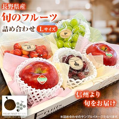 ふるさと納税 中野市 高丘フルーツの長野県産「旬のフルーツ詰め合わせ」(Lサイズ)