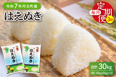 【令和7年産米】※2026年5月上旬開始※ はえぬき30kg（10kg×3ヶ月）定期便 山形県産 【JAさがえ西村山】ka008-006d-r7-05071 先行受付 米 送料無料 ブランド米 白米 精米 こめ ライス ごはん ご飯 おにぎり 弁当 食品 山形県 河北町