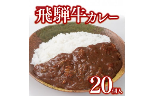 飛騨牛カレー20個セット【1304876】