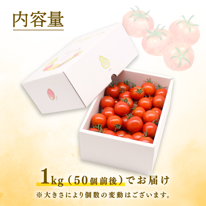 フルティカトマト 1kg | 先行予約 トマト フルティカトマト とまと フルーツ 果物 野菜 厳選 人気 ギフト プレゼント 贈り物 くだもの 旬 お取り寄せ 甘い 産地直送トマト 季節限定 期間限定 西島園芸団地 高知県 南国市