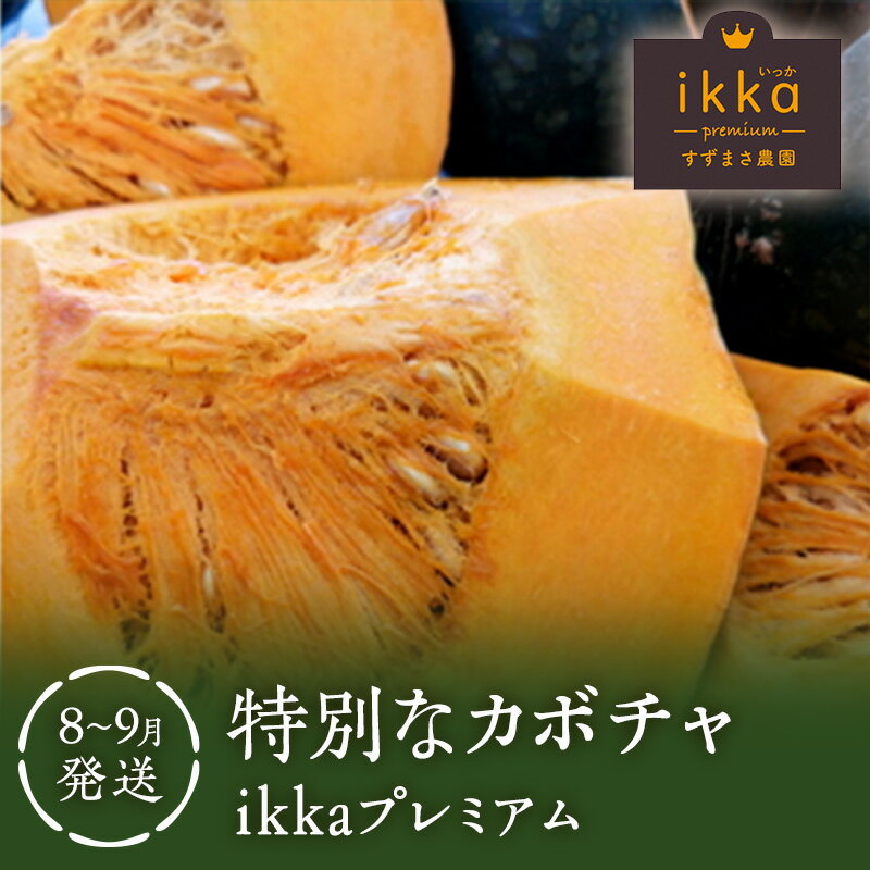 【ふるさと納税】特別なカボチャ ikkaプレミアム【8月-9月発送】 野菜 南瓜 甘い ホクホク 　お届け：2026年8月中旬～2026年9月下旬