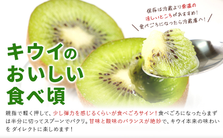 キウイフルーツ4kg《2026年2月上旬-2月中旬頃出荷》 キウイキウイキウイ