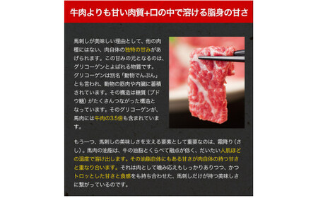 馬刺し4種の盛り合わせ【極上大トロ馬刺し100g/特選霜降り馬刺し100g/ロース馬刺し100g×3/赤身馬刺し100g×4】+タレ360ml付き《90日以内に出荷予定(土日祝除く)》