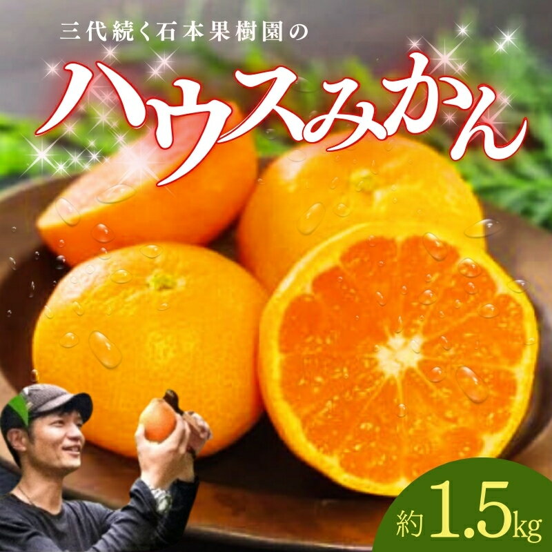 【ふるさと納税】 みかん 石本果樹園の美味しい ハウスみかん 約 1.5kg 12〜15玉前後 化粧箱入り【2025年7月初旬から8月初旬までに順次発送】 / ミカン 蜜柑 柑橘 フルーツ くだもの 果物 先行予約 ハウス 贈答 ギフト 産地直送 送料無料