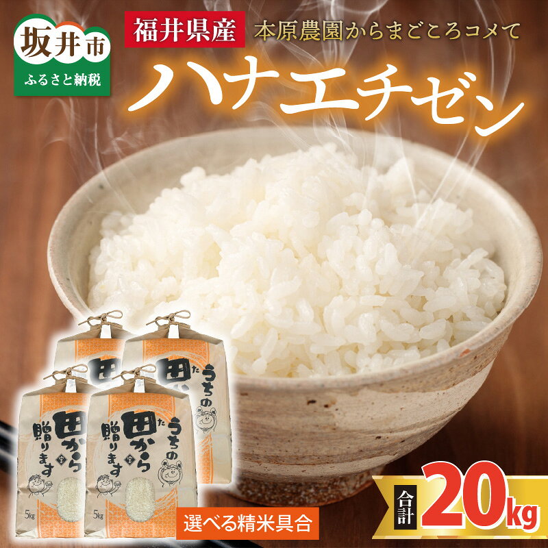 【ふるさと納税】【令和8年産・新米】【白米・玄米選択可】 ハナエチゼン20kg(5kg×4袋) 〜本原農園からまごころコメて〜 / 白米 玄米 こめ