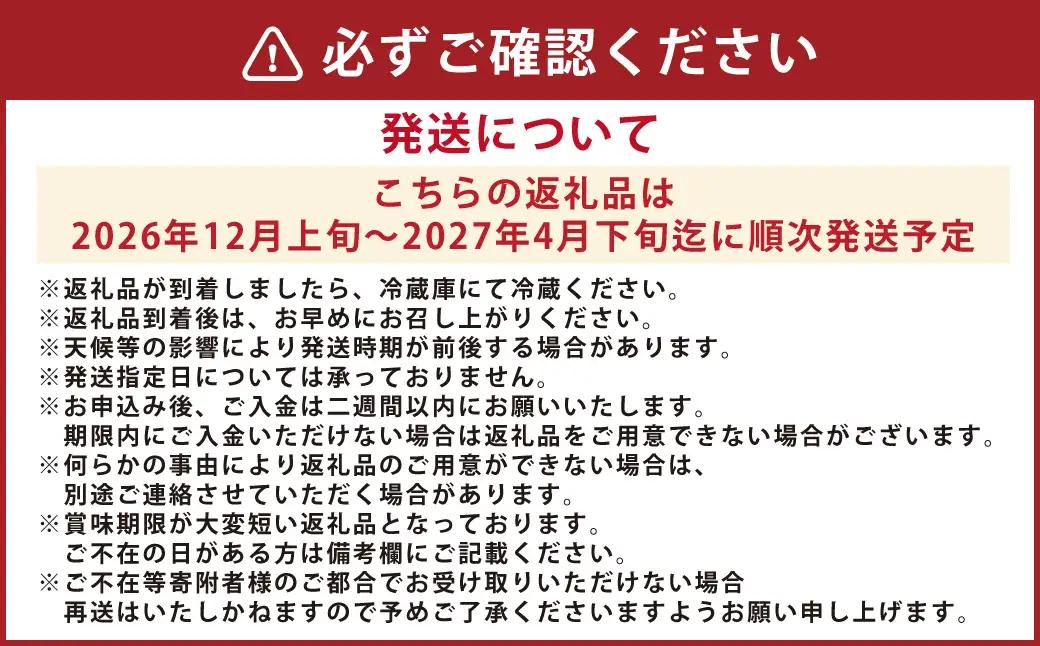 ＜ R8年熊本地震復興支援 ＞絢音ベリー農園 絢 いちご ゆうべに 500g （250g× 2パック） 熊本県産 フルーツ ギフト 厳選 イチゴ 苺 果物 【2026年12月上旬～2027年4月下旬迄