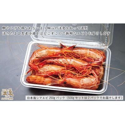 ふるさと納税 江差町 北海道産 違いが分かる天然もの 日本海シマエビ 大サイズ500g |  | 03
