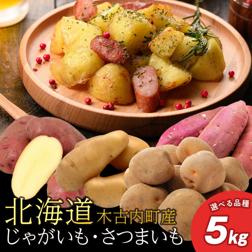 【ふるさと納税】【10月発送！】【秋山農園】北海道産 選べる品種 ジャガイモ さつまいも 5kg きたあかり メークイン レッドムーン シルクスイート野菜 いも 芋 じゃがいも さつま芋 北海道ふるさと納税 木古内町 ふるさと納税 北海道