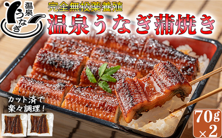 完全無投薬養殖！大分水産の温泉うなぎ蒲焼（カット）70ｇ×2 お試しにどうぞ！＜104-001_5＞