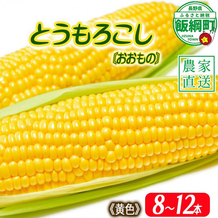【ふるさと納税】とうもろこし 8本〜12本 信州産 朝採り 上倉荘 配送先は本州限定 長野県 飯綱町 〔 信州 トウモロコシ コーン おおもの 野菜 12000円 〕発送時期：2025年8月上旬〜2025年9月中旬