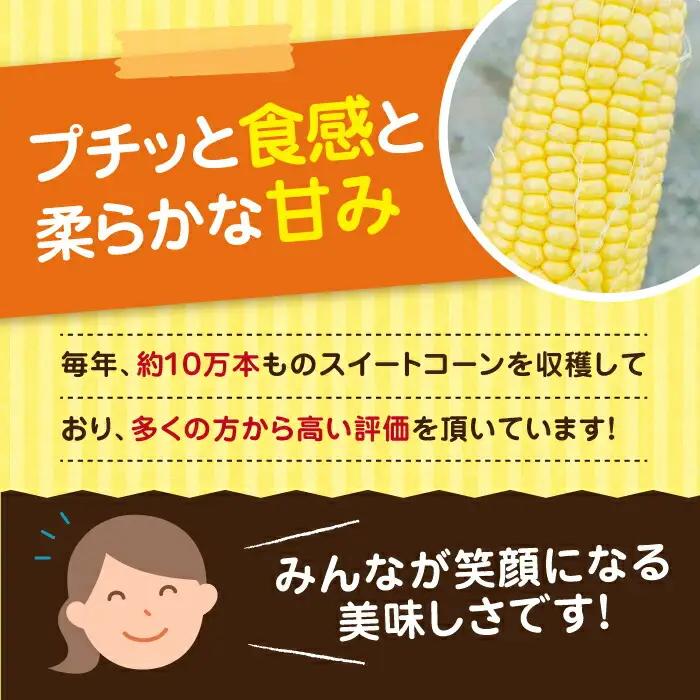 【先行予約】スイートコーン 約4kg 9-12本 [VBC001] 野菜 コーン とうもろこし