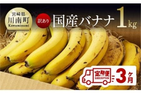 【定期便】【訳あり】国産バナナ1kg　3ヶ月定期便【国産 バナナ 無農薬 フルーツ 果物 デザート 朝食 スムージー 訳ありバナナ 全3回】