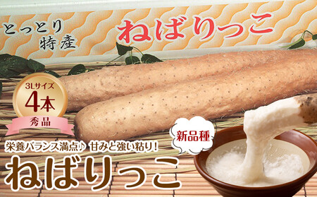 742.【ＪＡ】ねばりっこ　秀3Ｌ×4本　※着日指定不可　※離島への配送不可　※順次発送予定