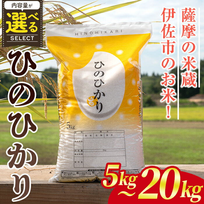 【ふるさと納税】＜内容量が選べる！＞鹿児島県産ひのひかり(5kg or 10kg or 20kg) 国産 鹿児島県 米 お米 白米 伊佐米 【赤崎農園】