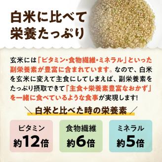 浸水時間がいらない玄米2kg 「米屋のこだわり阿賀野市産」 1E11007