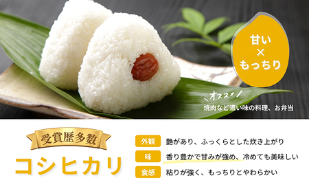 【令和5年産】乳酸菌入りの土壌で育てた 福井県 坂井町産 特別栽培米コシヒカリ 4kg (2㎏×2袋) (白米) [A-4812_01]