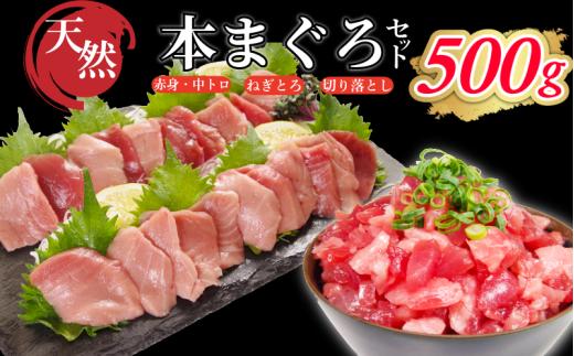 天然本まぐろ ネギトロ・切り落としセット 500g(100g×5P） マグロ ネギトロ 本まぐろ 中とろ 赤身 天然 鮪 小分け 冷凍 刺身 漬け 晩酌 寿司 ユッケ マグロ丼 ねぎとろ 海鮮