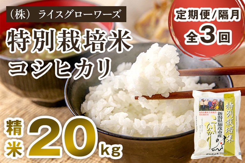 
                  【令和8年産新米先行予約】【定期便3回隔月お届け】新潟県加茂市産 特別栽培米 コシヒカリ 精米 20kg（5kg×4）《10月上旬～順次出荷》 従来品種コシヒカリ 新潟県産コシヒカリ 新潟産コシヒカリ 新潟コシヒカリ 新潟県産こしひかり 新潟産こしひかり 新潟こしひかり コシヒカリ こしひかり お米 白米 米 定期便 （株）ライスグローワーズ
                