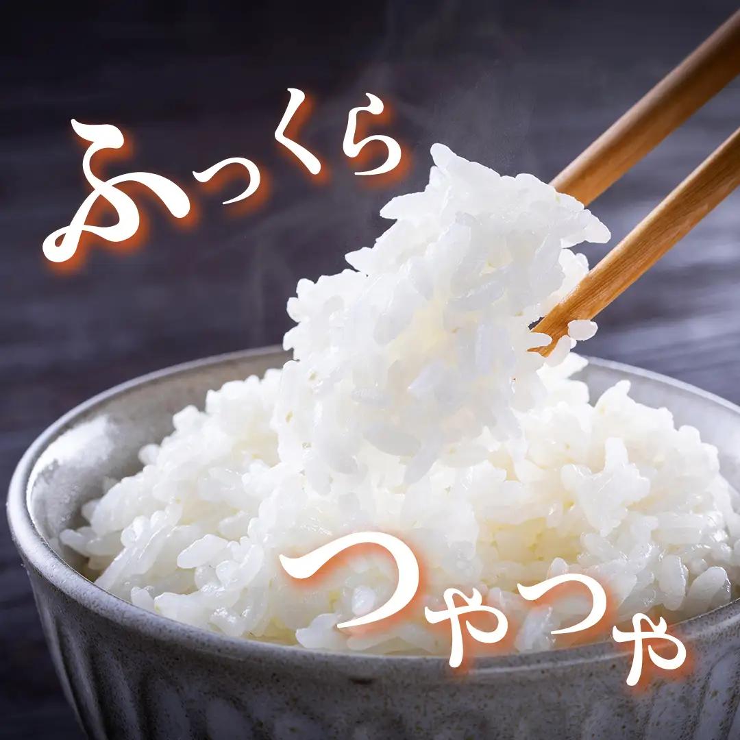 《 令和8年産 》 桜川市産 こしひかり 15kg 新米 先行予約 茨城県 桜川市 米 お米 白米 コメ ごはん 精米 コシヒカリ 国産 限定 銘柄米 [SC011sa]