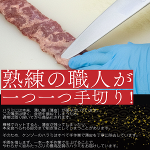 【ハラミ】  タレ漬け牛ハラミ 1kg 牛ハラミ｜ ハラミ