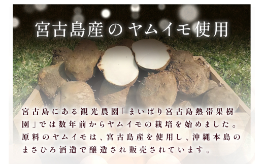 ヤム芋焼酎ずみ　レギュラータイプ、ミニボトルセット