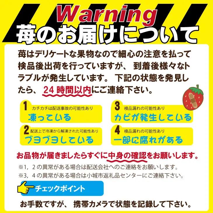 【先行予約】令和9年2月上旬頃出荷開始 いちごさん 4箱セット（1,200g） ふるかわ農園 苺 いちご 果物 B130-054