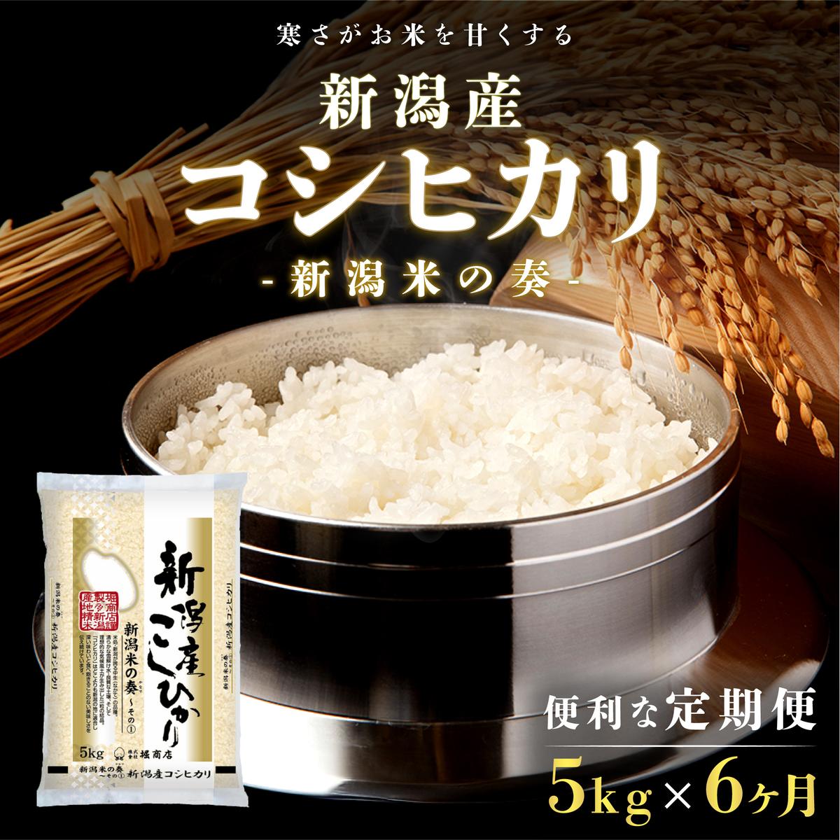 【ふるさと納税】【定期便】新潟産コシヒカリ5kg×6回 6ヶ月　お届け：寄附確認月の翌月より発送