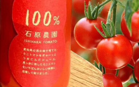 【先行予約】 100％ トマトジュース 720ml×2本 トマト ジュース[AEBG002]