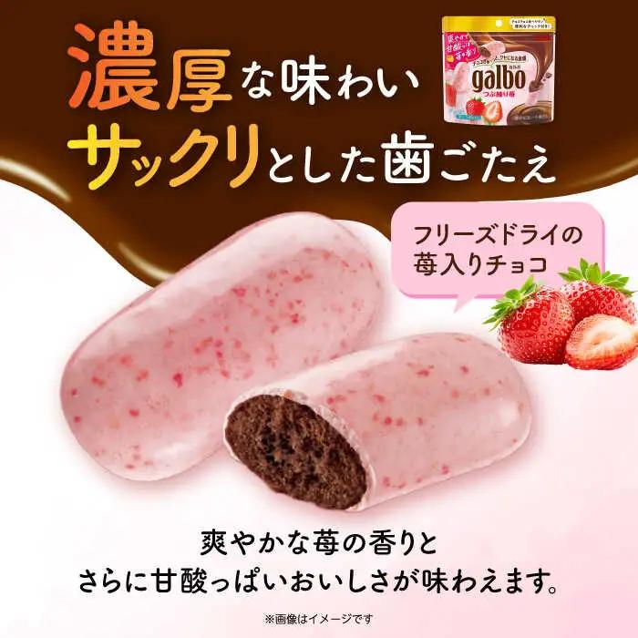 ガルボつぶ練り苺パウチ 48袋[AOAA029] チョコレート お菓子