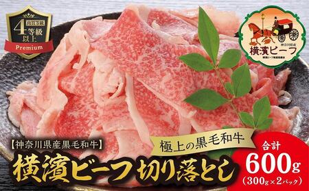【神奈川県産黒毛和牛】かながわブランド認定　極上の黒毛和牛　横濱ビーフ　切り落とし　300g×2 AKS0001