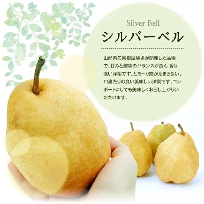 SA3038　 酒田産【特選】 洋梨 シルバーベル　約3kg(玉数おまかせ)