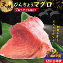 【ふるさと納税】【全12回定期便】天然 まぐろ 冷凍ぶっこみブロック約2kg 鮪 マグロ 刺身 冷凍 横須賀【本まぐろ直売所】[AKAK025]