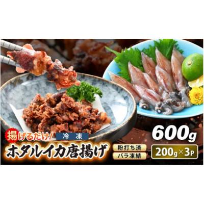 ふるさと納税 越前町 【のし付き】揚げるだけ ! ホタルイカ 唐揚げ 計600g(200g×3P)