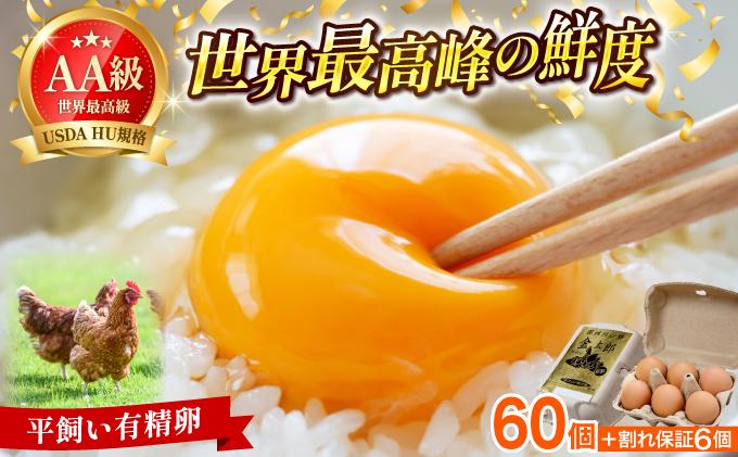 鮮度AA級の世界最高ランク！金太郎卵 平飼い たまご 60個（6個×10パック） 60個/通常配送