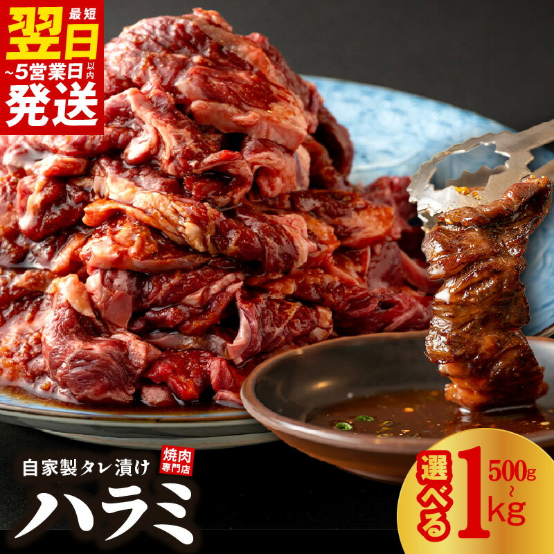 【ふるさと納税】＼最短翌日～5営業日以内発送／ 焼き肉専門店 ハラミ サガリ 自家製 タレ漬け 500g 250g×2 / 1kg 250g×4 選べる 内容量 焼肉 BBQ 牛ハラミ 牛肉 お肉 肉 味付け肉 プロの味 簡単調理 真空パック 小分け セット 冷凍 大阪府 泉佐野市 送料無料 肉の泉佐野