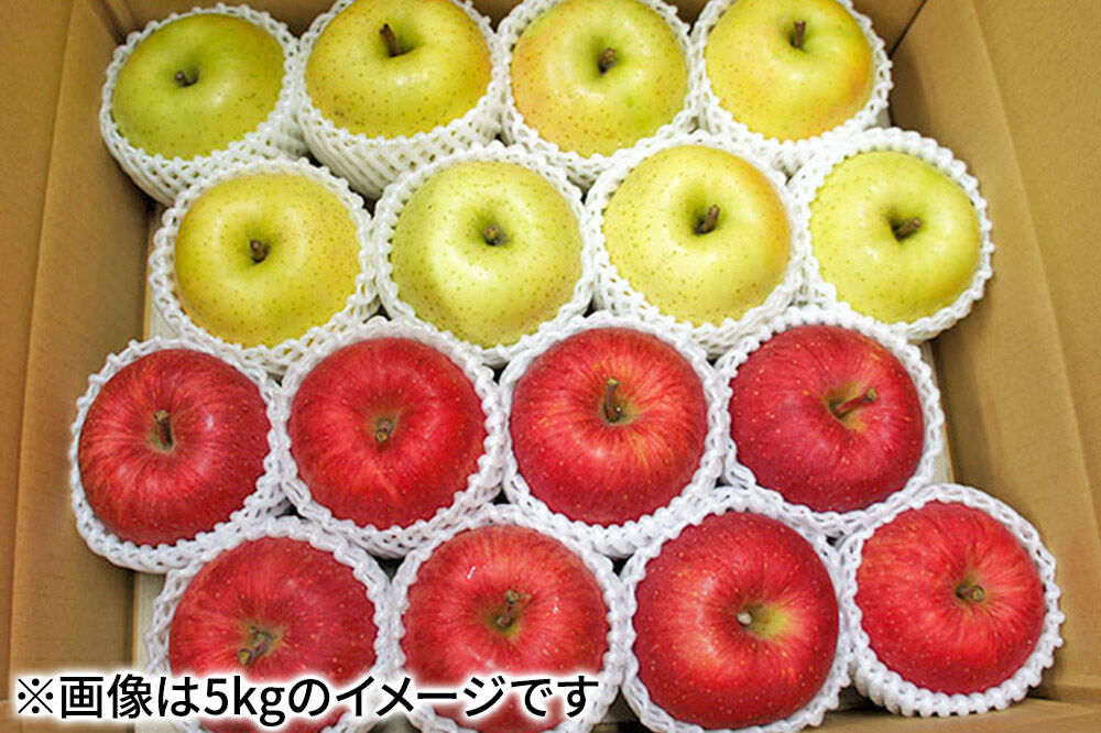 【27年1月発送】りんご サンふじ・王林【贈答用】約5kg（16〜20玉程度）先行受付 青森県産 林檎 リンゴ 果物 くだもの フルーツ 青森県 弘前市 [先行予約 産地直送 ギフト 贈り物 アップル