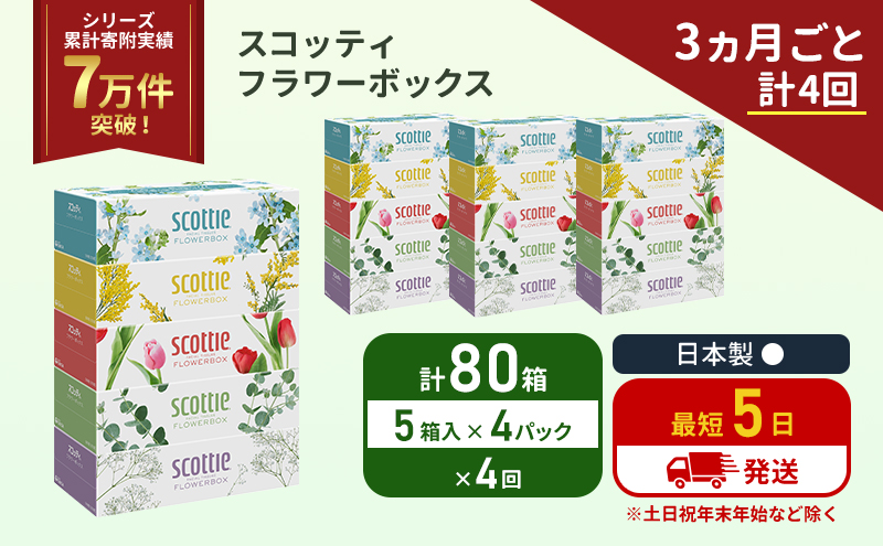 定期便 ティッシュ スコッティ フラワーボックス 80箱 (5箱×4パック)《3ヶ月ごと計4 回》 ティッシュペーパー ティシューペーパーボックスティッシュ ボックスティシュー ティシュペーパー 防災 災害 日用品 生活用品 生活必需品 宮城県 岩沼市