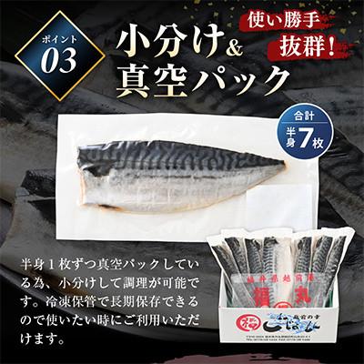 ふるさと納税 越前町 【のし付】鯖の一夜干し 約1kg(半身7切)網元漁師「福丸」厳選干物! |  | 03