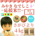 【ふるさと納税】【みやきなでしこ】応援米【3回定期便】【無洗米】さがびより4kg（2kg×2袋）（CI770）