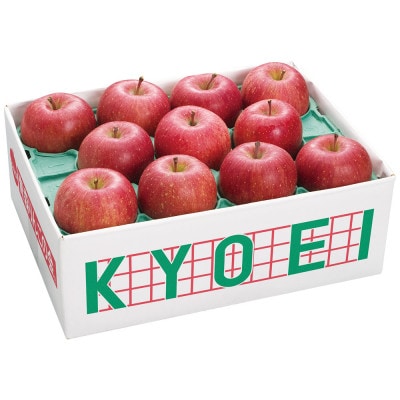 【発送月固定定期便】〈2025年9月より順次発送〉青森県産りんご約3kg全8回【配送不可地域：離島・沖縄県】